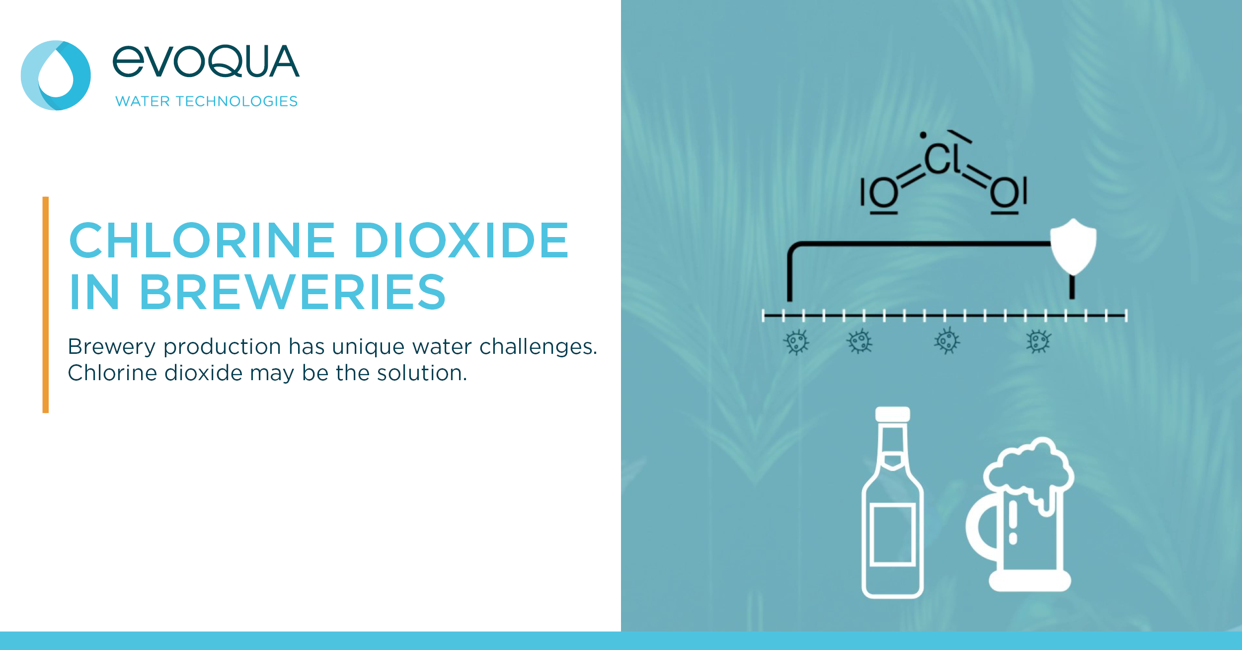 Chlorine Dioxide in Breweries